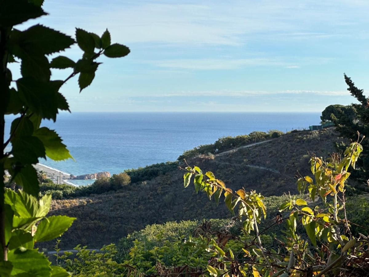 El Paraiso De سالوبرينيا المظهر الخارجي الصورة