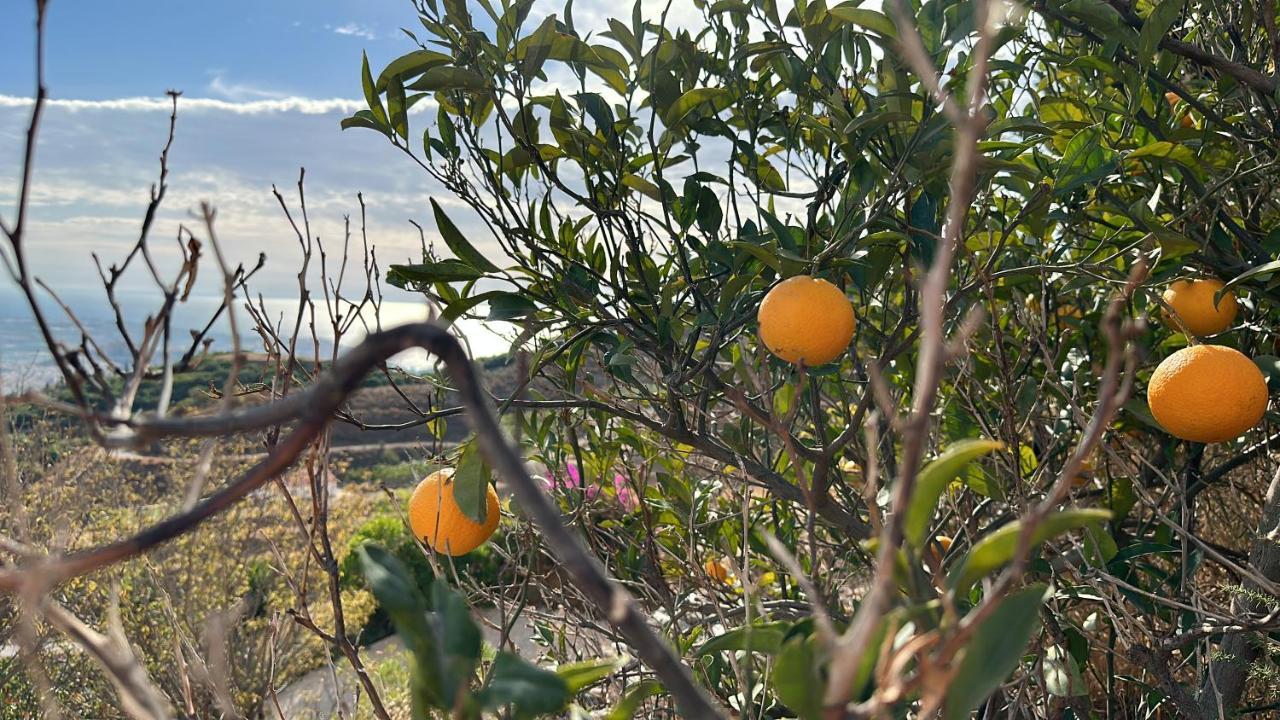 El Paraiso De سالوبرينيا المظهر الخارجي الصورة